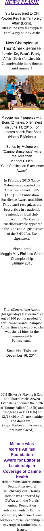 NEWS FLASH!

Stella was bred to CH Powder Keg Farm’s Foreign Affair (Boris). 
Utrasound reveals puppies! Fetal X-ray on Nov 24th!

New Champion at ThornCreek Bernese
Powder Keg Farm’s Foreign Affair (Boris) finished his Championship in no time in mid summer!

￼

Maggie has 7 puppies with Boris (2 males; 5 females) on June 11, 2015. For updates check FaceBook (Nancy P Melone)

Series by Melone on “Canine Brucellosis” wins the American 
Kennel Club’s 
“Club Publication Excellence Award” 

In February 2015 Nancy Melone was awarded the American Kennel Club’s (AKC) Club Publication Excellence Award and $500. This award recognizes the best article in a national, regional, or local club publication. The Canine Brucellosis article appeared in the June and August issues of the BMDCA’s, The Alpenhorn.

Home-bred 
Maggie May Finishes Grand Championship
January 2015








ThornCreeks Jane Austin (Maggie May) also earned 73 out of 100 points needed for her Bronze Grand Champion. At the  time she was bred she was the #1 bitch in the Commonwealth of Pennsylvania. 

Stella Has Twins on December 16, 2014!






GCH Hickory’s Playing it Cool and ThornCreeks Arwen Evenstar announce the birth of “Jimmy Fallon” (1.6 lb) and “Imogene Coca” (1.8 lb) on 12/16/2014. All are healthy and doing well, 
(Pups, Parker and Francey, are now placed). 


Melone wins 
Morris Animal Foundation 
Award for Editorial Leadership in Coverage of Canine Health 
Melone Wins Morris Animal Foundation Award
In February 2013, Nancy Melone was honored by DWAA with the Morris Animal Foundation Advancements in Canine Veterinary Medicine Award for her editorial leadership in coverage of canine health issues. 

